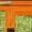 Orange, variant on Outdoor 2-Story Rabbit Hutch, Chicken Coop,Large Bunny House with 2 Runs, Resting Room, PC Sun Roof, Pull-Out Tray,Guinea Pig Cage Enclosure