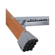 Louisville Ladder 10-Foot Fiberglass Step Ladder, 300-Pound Load Capacity, Type IA, FS1510