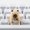 Fish Capybara Keycap, variant on Artisan Keycaps Cute Capybara Fish Keycaps 1U ESC Custom Keycap for Mechanical Keyboard