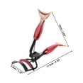 thumbnail image 2 of Unique Bargains 1 Pc Women Mermaid Tail Eyelash Curler for Beauty Parlor Business Travel Stainless Steel Plastic Red, 2 of 3