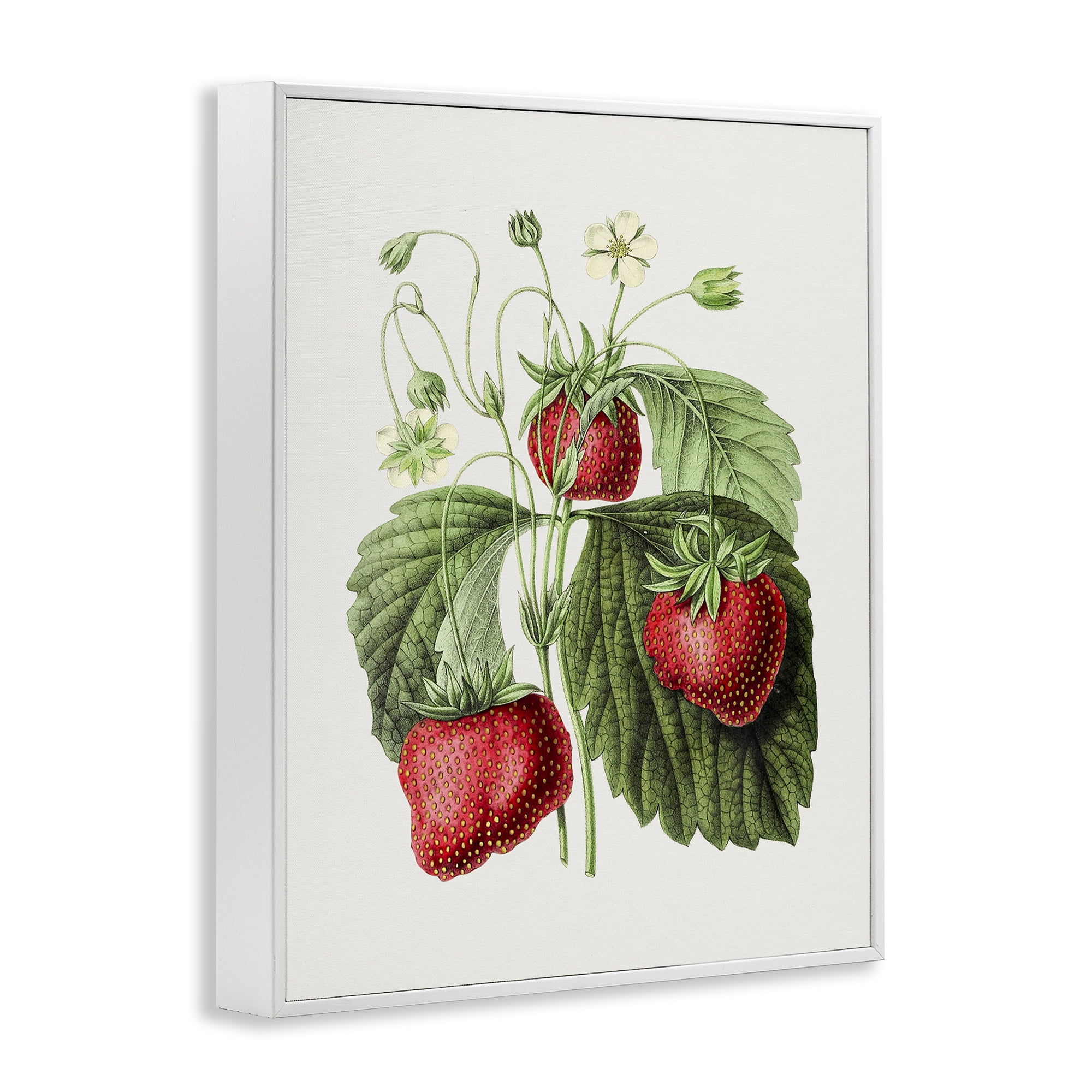 Stupell Industries Vintage Strawberries Study Food & Beverage Painting White Framed Art Print Wall Art, 24 x 30