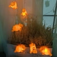 thumbnail image 6 of 1.65M 10LEDs Battery-Operated Indoor Camel String Lights, with Warm White LED Lights,Camel Fairy Lights, 6 of 10