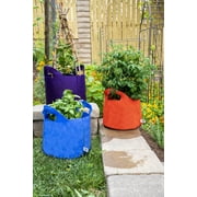 SMART POT 3 Gallon Fabric Grow Bag مع مقابض مقطوعة - طبيعي