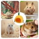 thumbnail image 4 of De Frutas Para Mascotas, Fruta De Dibujos Animados, Piña, Rana, Nido De Algodón, Cama Colgante Creativa, Hamaca Para Hámster Speravity HA045774-03, 4 of 6