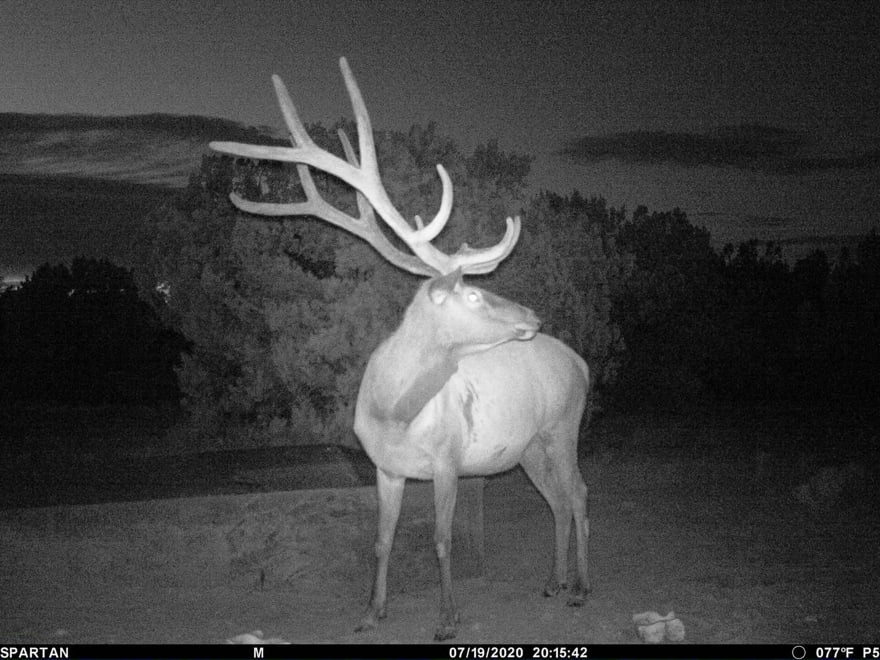 Spartan Camera GoLive AT&T Cellular Trail Camera 8 MP