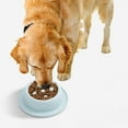 thumbnail image 5 of Comedero lento para perros, comedero lento para cachorros, comedero para mascotas, forma de An Ti, comedero para gatos, comedero para perros, comedero lento, comedero para mascotas, 5 of 5