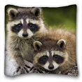 thumbnail image 1 of RYLABLUE New Arrival Pillowcases Cover Pretty Raccoon Valentine's Day Gift Throw Soft Size 18x18 Inches Two Side Print, 1 of 1