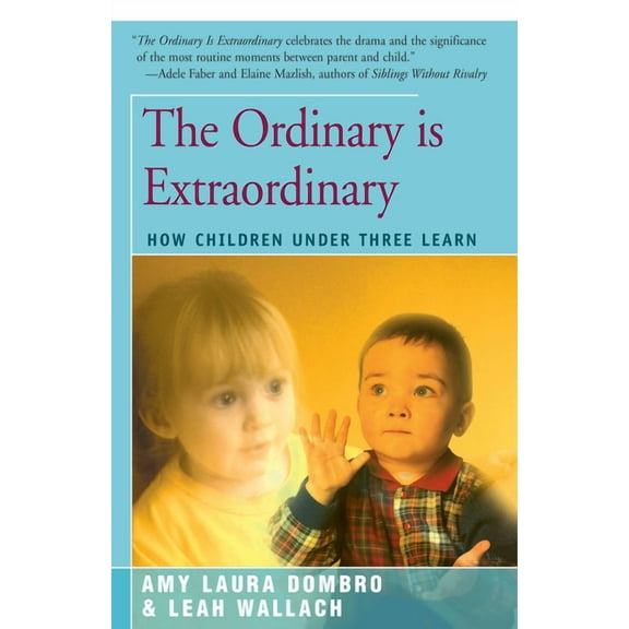 The Ordinary is Extraordinary (Paperback)