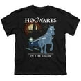 thumbnail image 2 of Harry Potter Hogwarts Christmas In The Snow Kids T Shirt for Youth Boys and Girls, Black, X-Large, 2 of 5