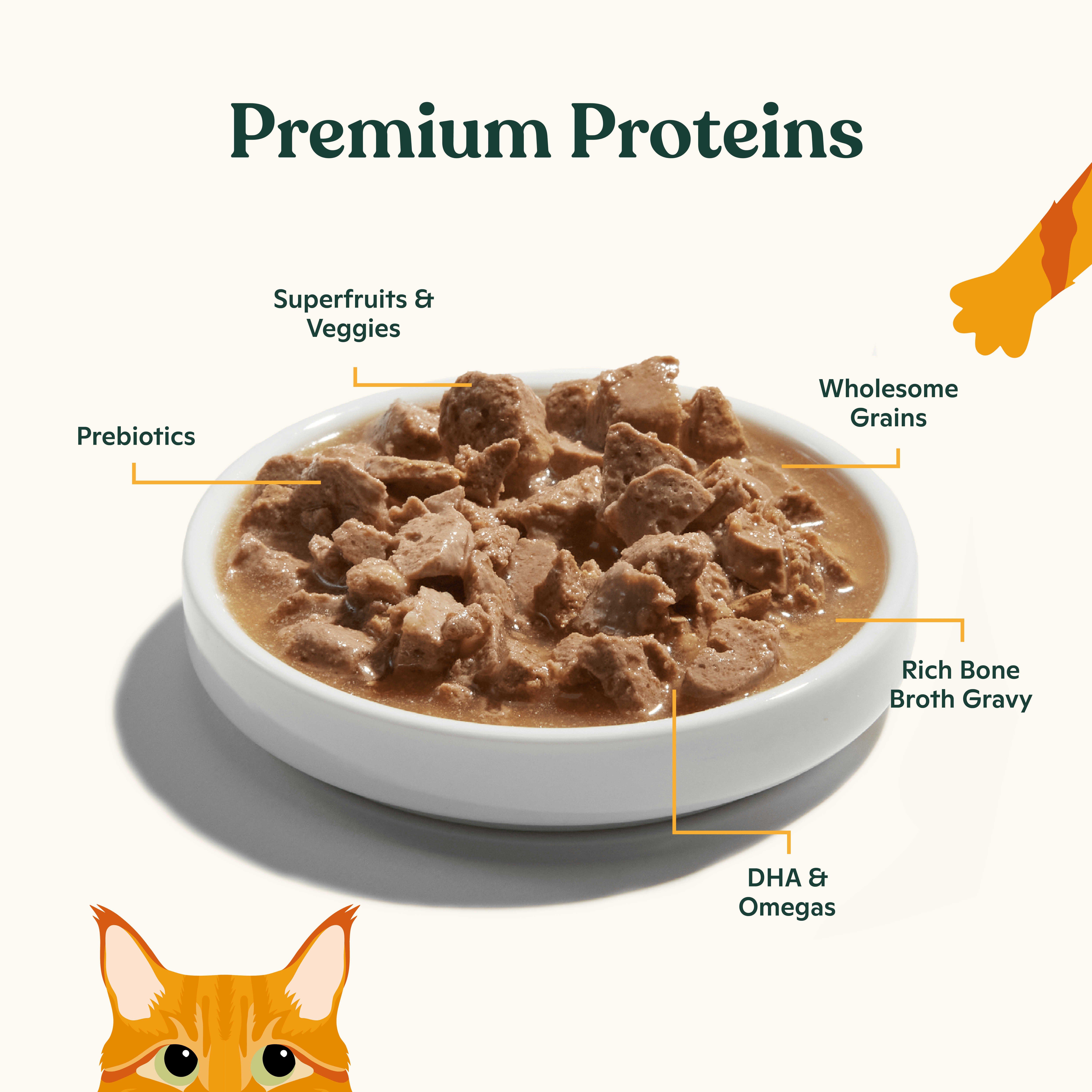 Nacho Cuts in Gravy with Bone Broth wet cat food variety pack (12ct pack, 36 oz)