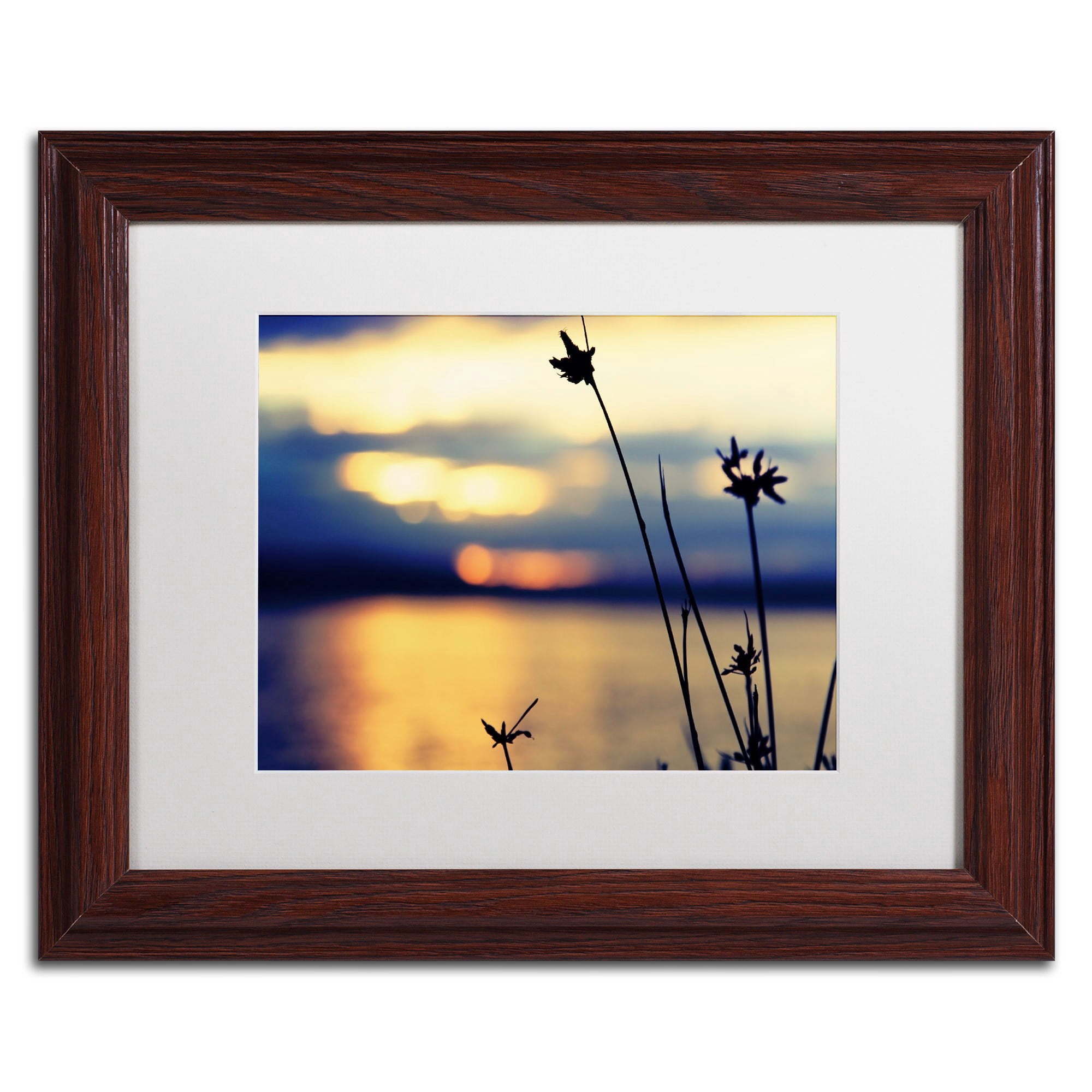 Trademark Fine Art "Sunset Thoughts" Canvas Art by Beata Czyzowska Young, White Matte, Black Frame