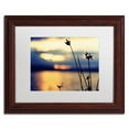 thumbnail image 3 of Trademark Fine Art "Sunset Thoughts" Canvas Art by Beata Czyzowska Young, White Matte, Black Frame, 3 of 4