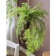 thumbnail image 4 of Artificial Fern Hanging Ball Decoration, 4 of 6