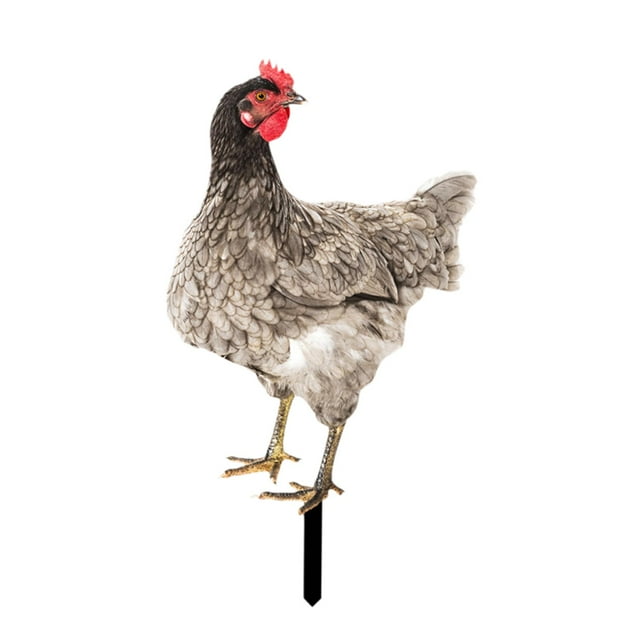 Estatuilla de gallo para jardín, adorno de gallina, regalo, estatua de jardín de pollo para pasillo, granja, entrada, cumpleaños, Acción de Gracias Estilo D