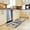 Money, variant on Multifunctional Long Strip Money Rugs 100 Dollar Bill Series Non-Slip Backed Mat Money Doormat, Kitchen Mats Set of 2 (17" X 47" 17" X 30")