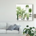 thumbnail image 3 of Trademark Fine Art 'Plant Haven II' Canvas Art by Grace Popp, 3 of 4