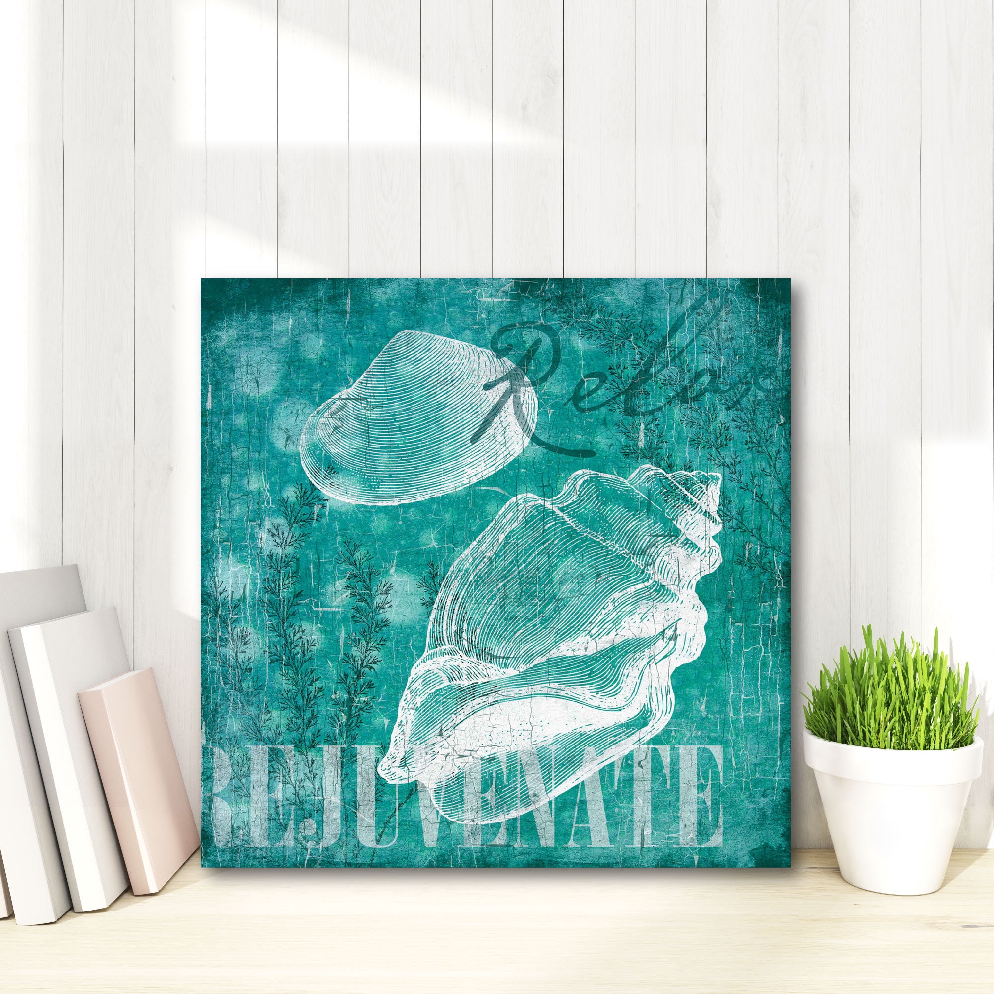 Shell Bubbles I Gallery-Wrapped Canvas Wall Art, 16x16