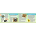 thumbnail image 4 of Thames and Kosmos Gold Rush Geology, 4 of 4