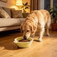 thumbnail image 5 of Collapsible Dog Bowl Silicone, 2 Pack Pet Travel Bowls | Foldable Water Feeder Dish for Small to Large Dogs Cat Walking Hiking Camping, Portable Dog Bowl, 5 of 6