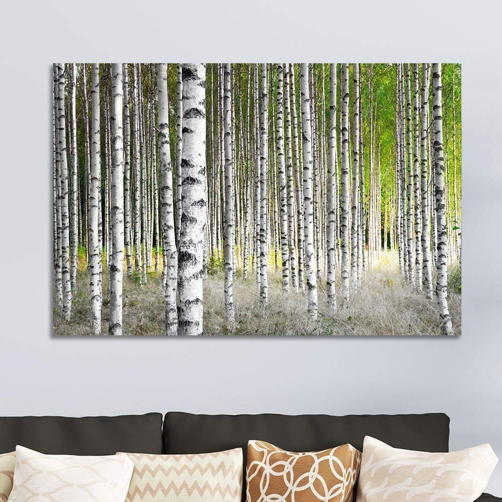 wall26 Canvas Prints Wall Art Birch Trees in Bright Sunshine in Late