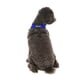 thumbnail image 5 of Arnés para perros Gooby Comfort X Head en azul para perros grandes, 5 of 7