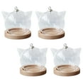 thumbnail image 1 of 4 cúpulas de cristal, soporte con plantas y flores , cúpulas de cristal en miniatura decorativas suculentas para decoración de para hogar Base de madera de gato Yinane Cúpula transparente, 1 of 8