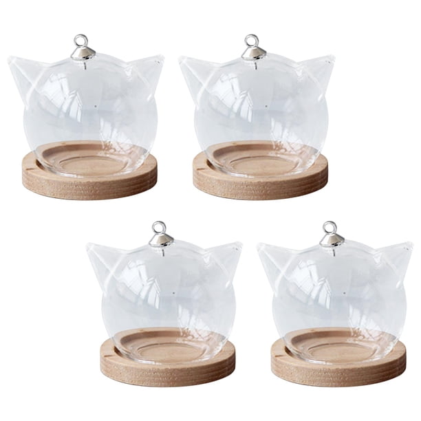4 piezas de cúpula de vidrio, soporte de cúpula de exhibición de vidrio con base para plantas de bricolaje y Base de madera de gato