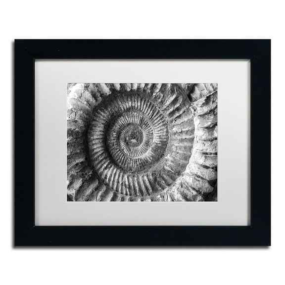 Trademark Fine Art "Amonita 2" Canvas Art by Moises Levy White Matte, Black Frame