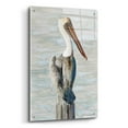 thumbnail image 2 of Epic Art 'Brown Pelican 1' by Stellar Design Studio, Acrylic Glass Wall Art, 24"x36", 2 of 8