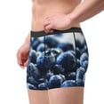 thumbnail image 4 of Bingfone Blueberry Men'S Underwear - Casual Stretch Boxer Briefs-X-Large, 4 of 9