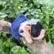 thumbnail image 3 of Muñecos Otard de juguete Reborn Pig, 13 cm, de silicona, de forma realista, 3 of 8