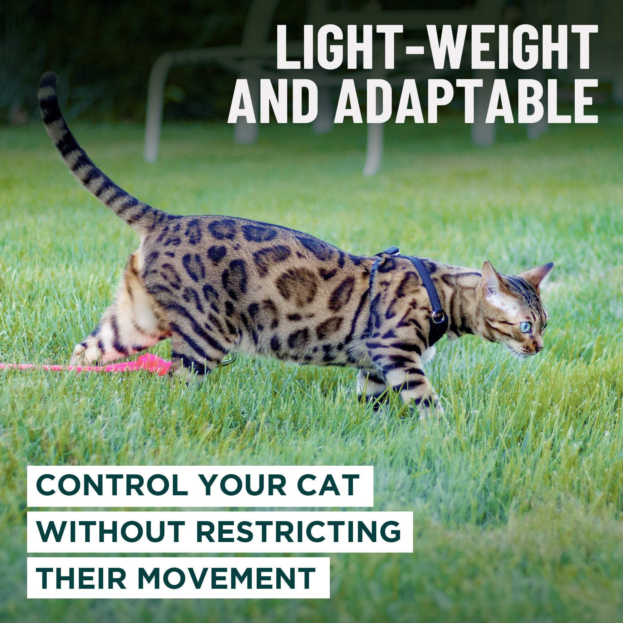 Houdini™ Escape Proof Cat Harness