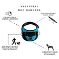 thumbnail image 4 of Essential Dog Harness, No-Pull Pet Vest with 3 Leash Clips, No Choke, Reflective, Adjustable and Padded, for Easy Walking and Training for Small, Medium and Large Dogs (Oceanic Blue, Medium), 4 of 6