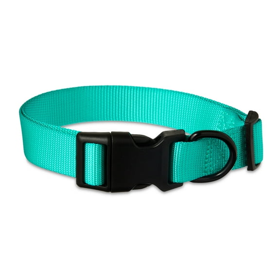 Vibrant Life Polyester Adjustable Dog Collar, Teal, L