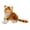 Brown A, variant on Primegos Simulated Kitten Plush Doll Lifelike Stuffed Animal with Air-Purifying Bamboo Charcoal Skin-friendly Cat Plushies Gifts for Girls Boys