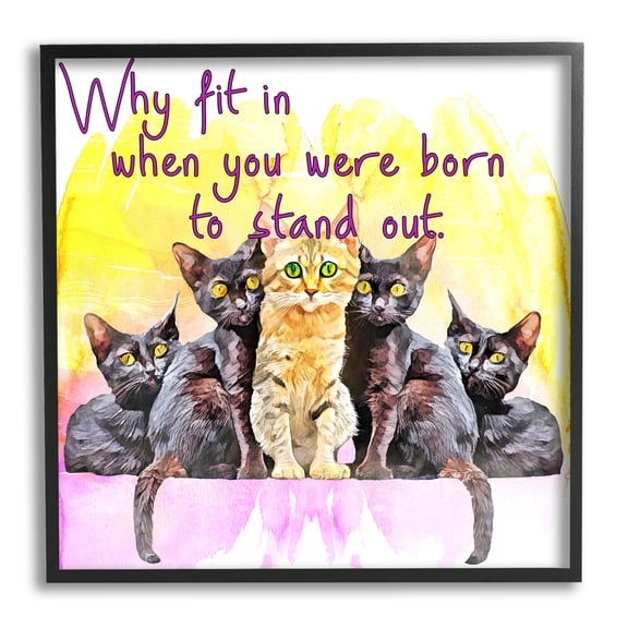 Stupell Born To Stand Out Cats Pet Phrase Animals & Insects Painting Black Framed Art Print Wall Art