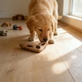 thumbnail image 4 of Catnip Cat Toy,Dog Chew Toys Bones-like Teething Sticks Lasting Interactive Chew Toy for Dogs, 4 of 6