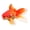 Orange, variant on YIFAEUX Goldfish Plush Doll Realistic Fish-shaped Throw Pillow Soft Stuffed Animal Doll for Home Decor Kids Gift And Cuddle Companion
