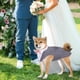 thumbnail image 5 of Esmoquin para perro Dora Bridal, grande, con corbatín, traje formal, 5 of 8