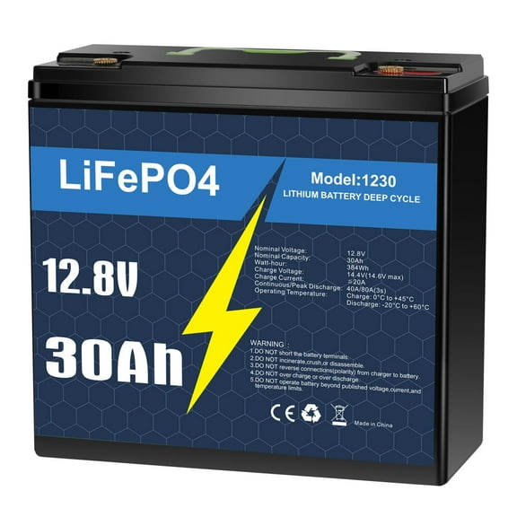 12V 30Ah LiFePO4 Lithium Battery with Smart BMS for Solar, Trolling Motor