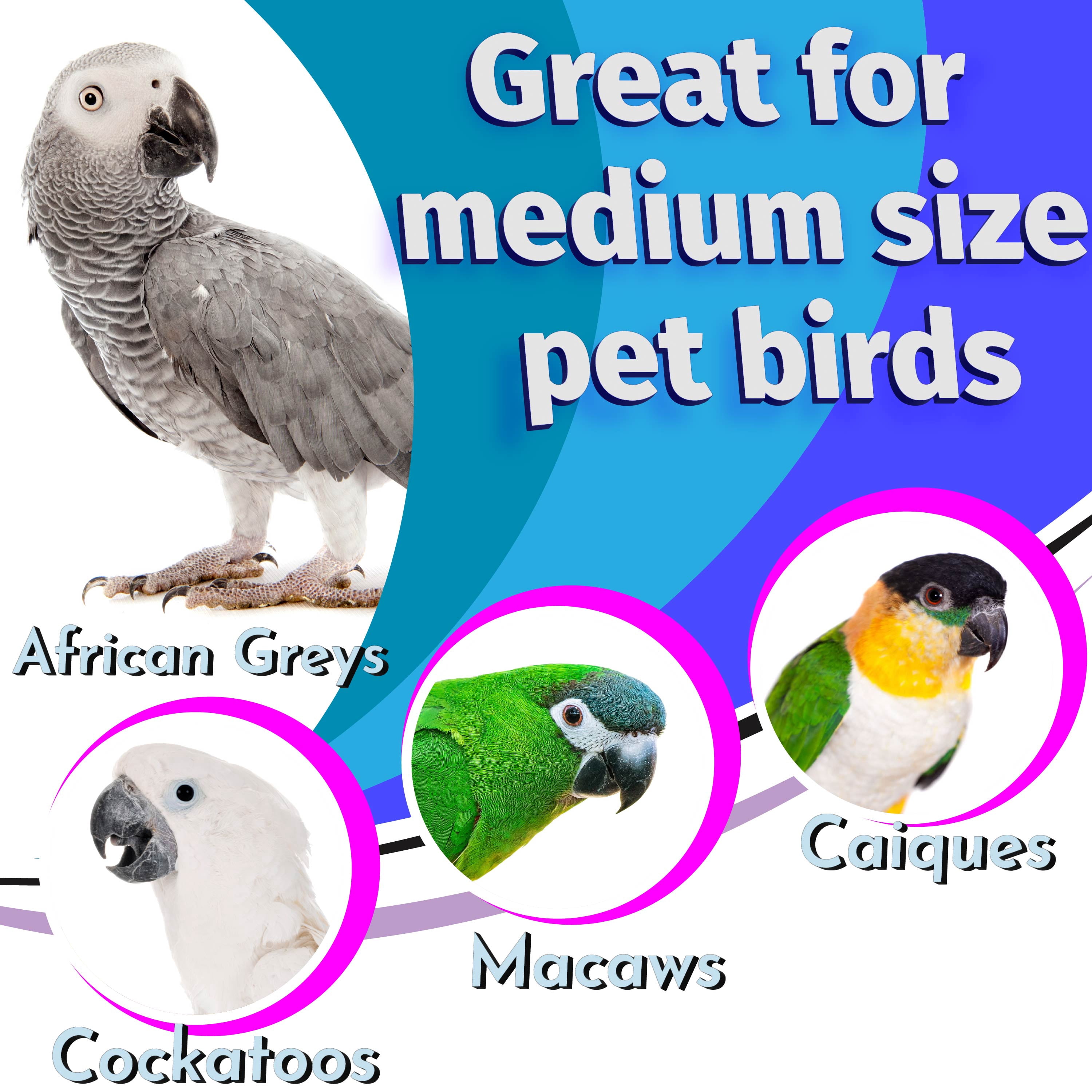 1060 Jumbo Bird Bolts Pk12 - Classic Interactive Colorful Large Size Bird Foot Toy