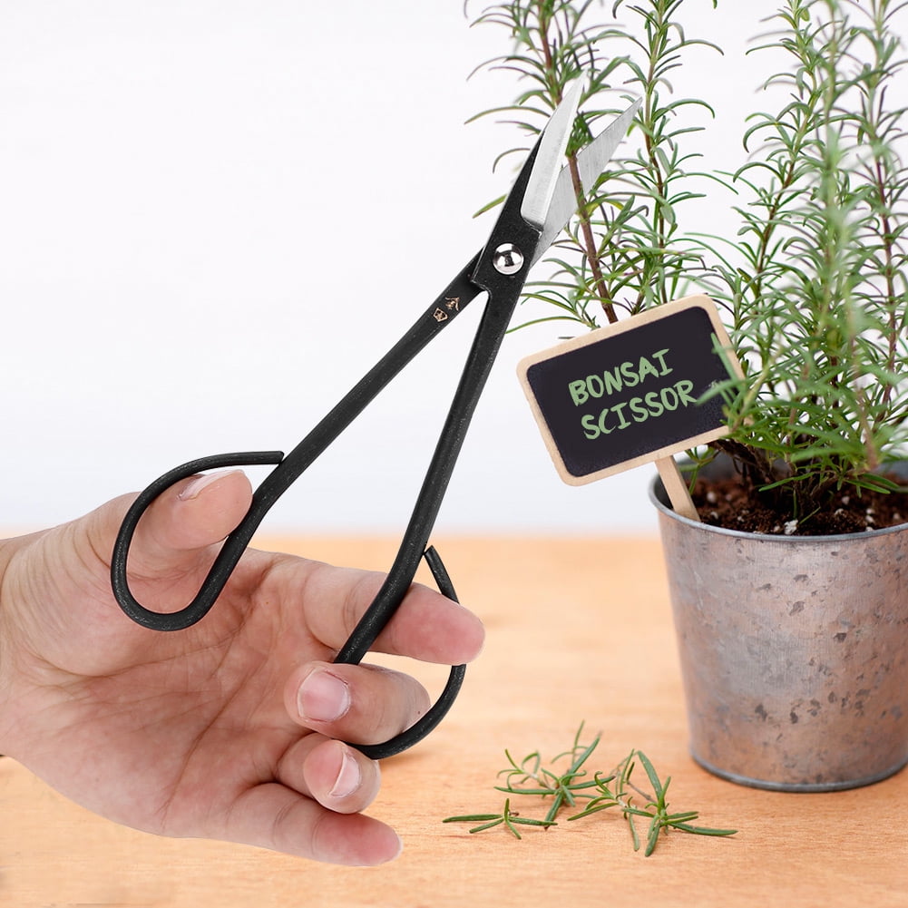 Bonsai Shear, Bonsai Scissor, Composite Steel For Flower Shope Yard