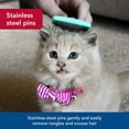 thumbnail image 3 of Kit Peine Desenredante para Gatitos Coastal Li'l Pals de 12.5 cm, 3 of 7