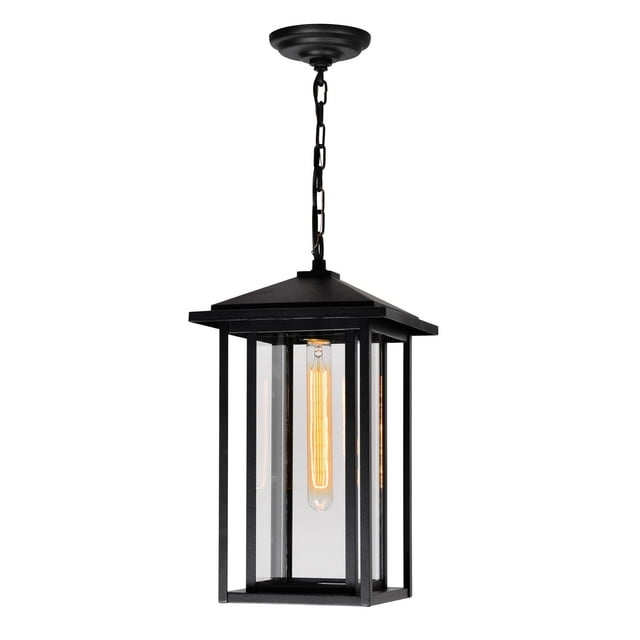 CWI Lighting Crawford 1 Light Black Outdoor Hanging Light