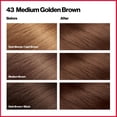 thumbnail image 2 of 2 Pack - Revlon ColorSilk Hair Color - 43 Medium Golden Brown - Each Packaging may vary, 2 of 4