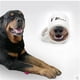 thumbnail image 4 of Funny Dog Water Cup Ceramic Cup Coffee Cup Mug, 4 of 8
