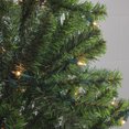 thumbnail image 3 of Northlight Pre-Lit Medium Balsam Pine Artificial Christmas Tree - 7' - Clear Lights, 3 of 4