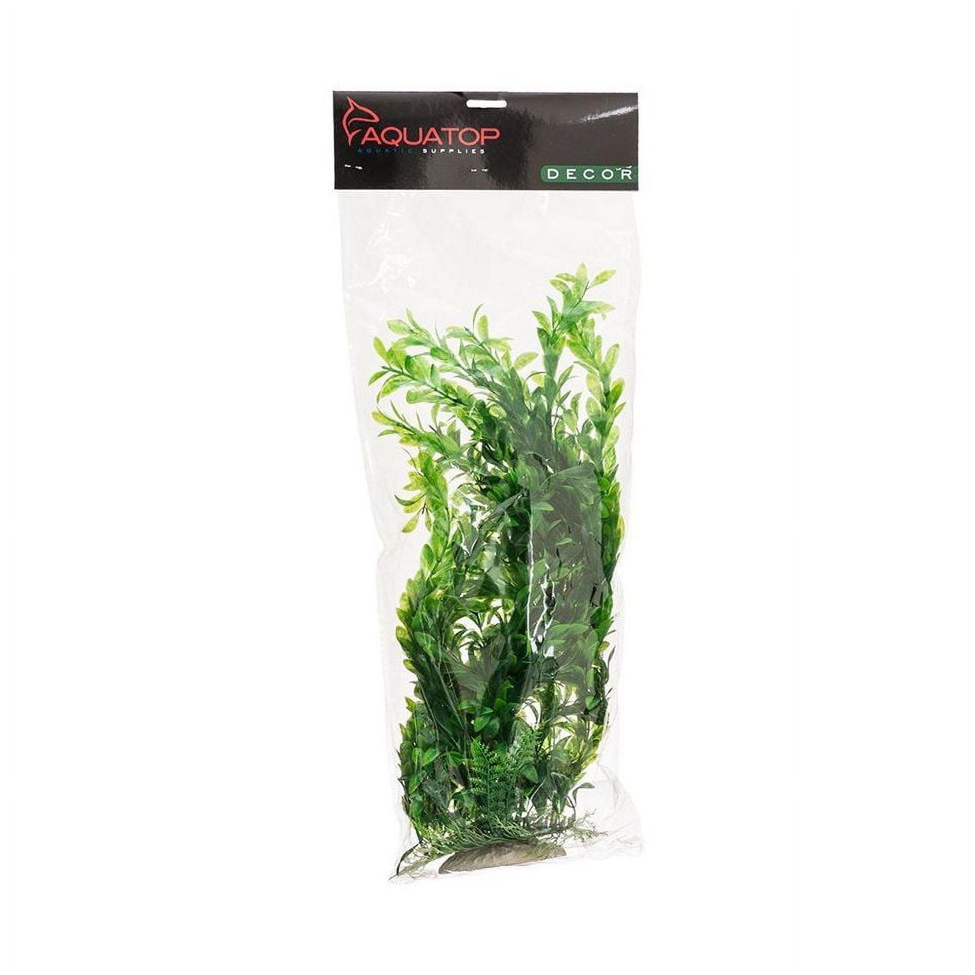 20" tall Aquatop Hygro Aquarium Plant Green PD-BH10