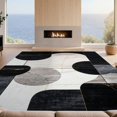thumbnail image 2 of Design&I 4'x6' Ultra Soft Area Rug, Floorcarpet Abstract Interlocking Shapes Neutral Monochrome Accessories None Fluffy Washable Non Shedding for Bedroom Living Room Home Office, 2 of 7