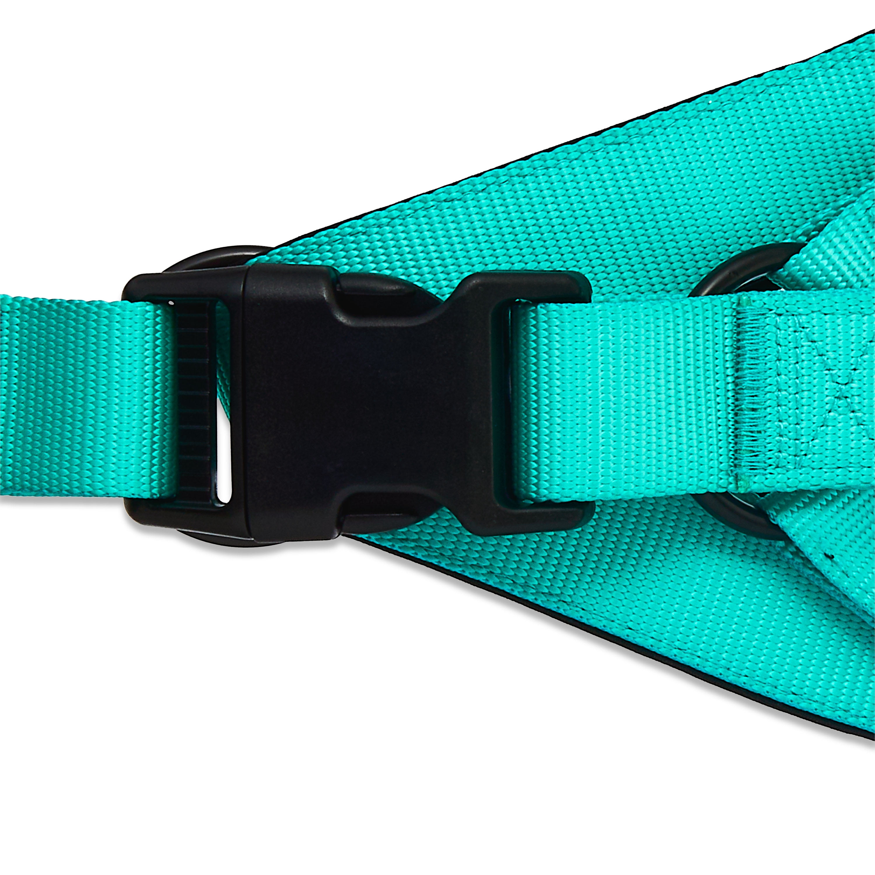 Vibrant Life Polyester Step-in Dog Harness, Teal, M
